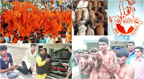 ‘ಗೋ ರಾಜಕೀಯ’- ಭಾಗ 4: ‘ಭಜರಂಗದಳ’ದವರ ಗೋ ರಕ್ಷಣೆ ಮತ್ತು ತಳಮಟ್ಟದ ವಾಸ್ತವಗಳು!