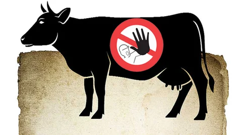 ‘ಗೋ ರಾಜಕೀಯ’- ಭಾಗ 2: ಗೋ ಹತ್ಯೆ ನಿಷೇಧ ಕಾನೂನು ಜಾರಿ ಹಿಂದೆ ‘ಅಜೆಂಡಾ’ಗಳ ವಾಸನೆ!