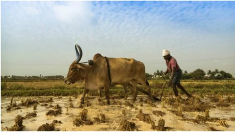 ಜೇಟ್ಲಿ ಕೃಷಿ ಬಜೆಟ್’: ಕೃಷಿ ಕ್ಷೇತ್ರಕ್ಕೆ ಭಾರೀ ಕೊಡುಗೆ ಸಿಗಬಹುದೆಂಬ ನಿರೀಕ್ಷೆಯನ್ನು ಈ ಬಜೆಟ್ ಹುಸಿಯಾಗಿಸಿದೆ!