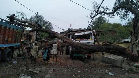 ರಾಜಸ್ಥಾನದಲ್ಲಿ ಧರೆಗುರುಳಿದ ಮರಗಳು. 