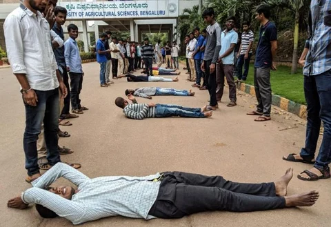 ಕೃಷಿ ವಿದ್ಯಾರ್ಥಿಗಳ ಉರುಳು ಸೇವೆ ಪ್ರತಿಭಟನೆ.