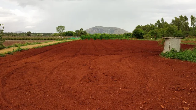 ಮಂಡ್ಯದಲ್ಲಿರುವ ಕೃಷಿ ಸಂಶೋಧನಾ ಕೇಂದ್ರ ವಿ.ಸಿ.ಫಾರಂ.