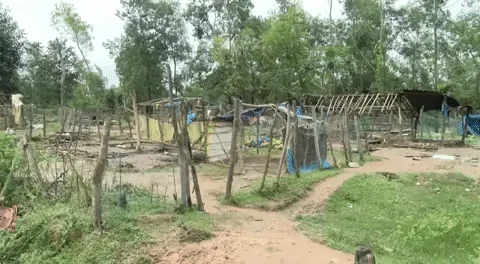 ಹಾವುಗೊಲ್ಲರು ಗುಡಿಸಲು ಹಾಕಿಕೊಂಡಿದ್ದ ಜಾಗ.
