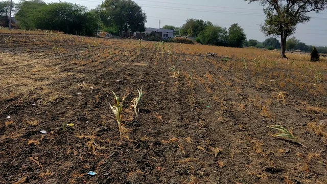 ಬರಗಾಲದಲ್ಲಿ ಉತ್ತರ ಕರ್ನಾಟಕದ ಕೃಷಿ ಭೂಮಿ