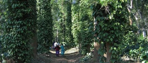 ಸಾಂದರ್ಭಿಕ ಚಿತ್ರ.