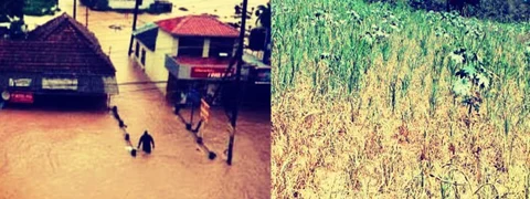 ಮಹಾಮಳೆಯ ವೈರುಧ್ಯ: ಅಲ್ಲಿ ನೆರೆ, ಇಲ್ಲಿ ಬರ; ಮುಂದುವರಿದ ಮಾನ್ಸೂನ್ ಜೂಜಾಟ