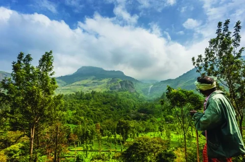 ಬರಡು ನೆಲವೊಂದು ದಟ್ಟ ಅರಣ್ಯವಾಗಲು ತೆಗೆದುಕೊಂಡಿದ್ದು 35 ವರ್ಷ ಹಾಗೂ ಒಬ್ಬ ವ್ಯಕ್ತಿಯ ಶ್ರಮ!