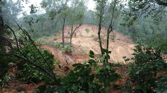 ಸಾಂದರ್ಭಿಕ ಚಿತ್ರ