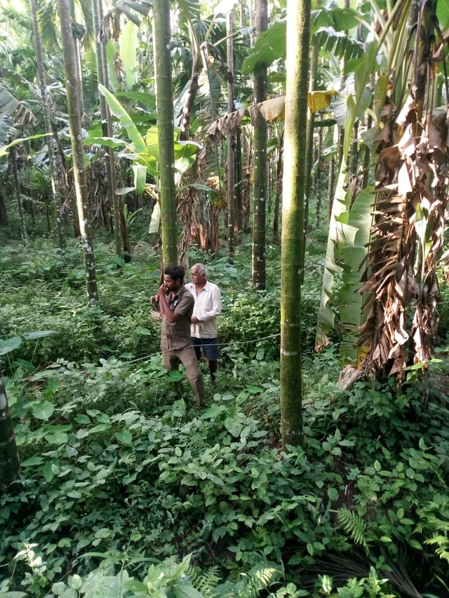 ಜಮೀನಿನಲ್ಲಿ ತುಂಡಾಗಿ ಬಿದ್ದ ವಿದ್ಯುತ್ ತಂತಿ. 