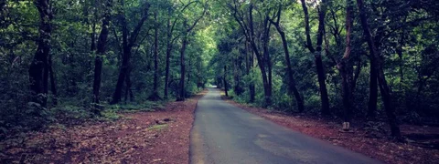 ಈ ಊರಿನ ಹೆದ್ದಾರಿ ವಿಸ್ತರಣೆಗೆ ಹೊರಟಿದೆ ಸರಕಾರ; ಬೆನ್ನಲ್ಲಿದೆಯೇ ಮೈನಿಂಗ್ ಮಾಫಿಯಾ?