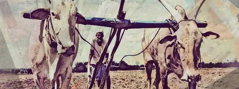ಸಾಲಮನ್ನಾಕ್ಕೆ ಎದುರಾಗಿದೆ ‘ತಾಂತ್ರಿಕ ಸಮಸ್ಯೆ’; ಸ್ಥಳೀಯ ವಿಚಾರಣೆಯ ಮಾರ್ಗ ಅನಿವಾರ್ಯ