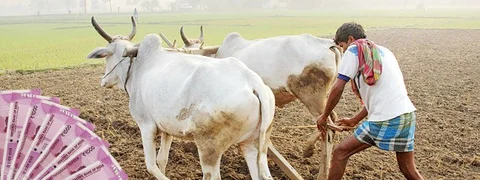 ‘ಅಧಿಕಾರಕ್ಕೆ ಬಂದರೆ ರೈತರ ಸಾಲಮನ್ನಾ’; ಚುನಾವಣೆ ಗೆಲ್ಲಲು ಸಿದ್ಧವಾಗಿದೆ ಸೂತ್ರ!