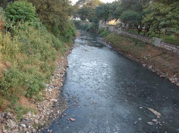 ಬೇಡ್ತಿ ನದಿಯ ಉಪನದಿಯಲ್ಲಿ ಹರಿಯುತ್ತಿರುವ ಮಲಿನ ನೀರು.