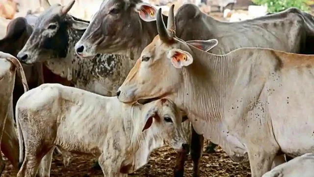 ಚುನಾವಣೆ ಹೊಸ್ತಿಲಲ್ಲಿ ಓಲೈಕೆಗಿಳಿದ ಕೇಂದ್ರ; ಜನಪ್ರಿಯ ಘೋಷಣೆಗಳ ಪಿಯೂಷ್ ಬಜೆಟ್!