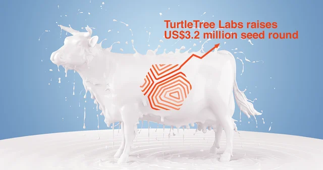 KBW Ventures joins investors as TurtleTree Labs raises US$3.2 million seed round