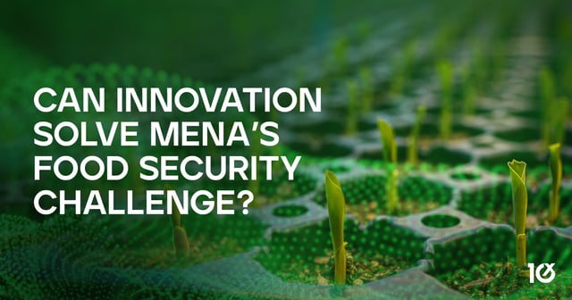 Can Innovation Solve MENA’s Food Security Challenge?
