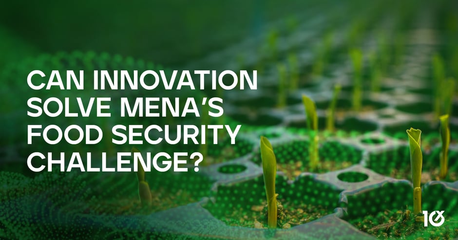 Can Innovation Solve MENA’s Food Security Challenge?