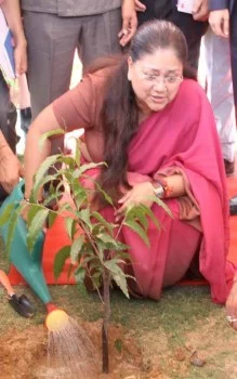 The Rani Of Reforms