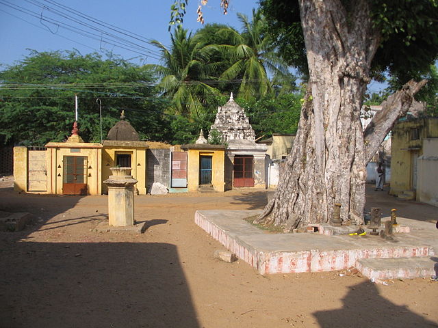 Tyagaraja: Saint, Seer and Composer