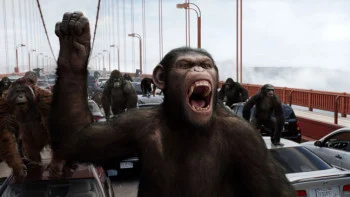 Empathy No Longer Divides Humans And Chimps. What Now?