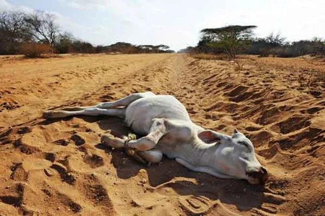 Impact Of Drought On Electoral Politics Of India