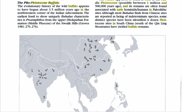 ‘True Indology’ Responds