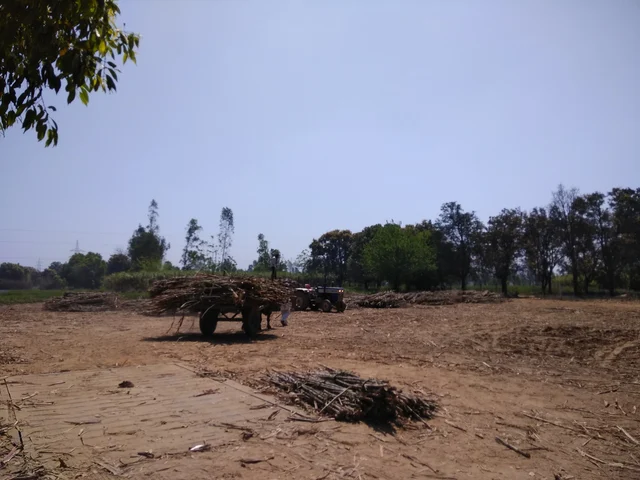Farmers with their crop at a weighing scale on Kiratpur road