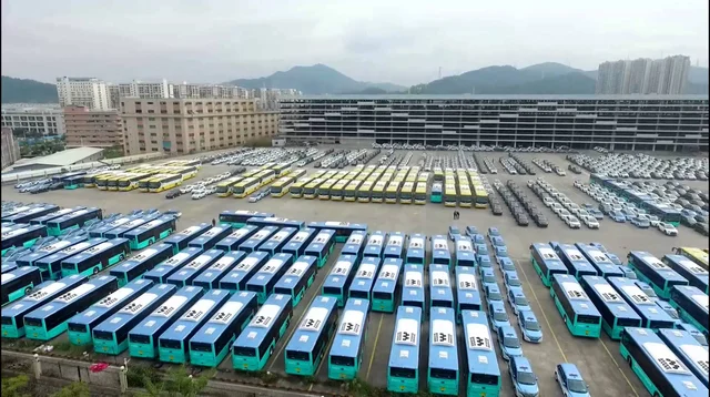 BYD’s fleet of electric buses (Photo: BYD)