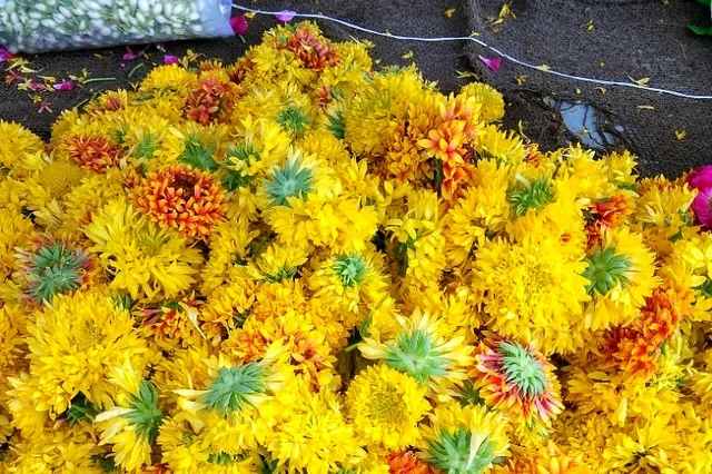 A<i> Navrang</i> flower heap in the town. 