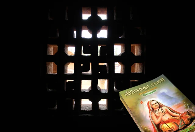 Of Windows, ‘World Knots’, And The View Of Life
