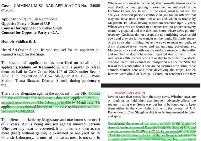 No, Allahabad High Court Has Not Said Cow Slaughter Act Is Being Misused Against Innocents; Media Misreports