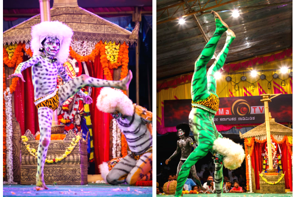 The tigers showing some of their dance moves. Picture: MGT Team