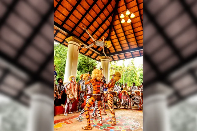 Flipping a tiger cub in the air. Picture: Thilak Photo Studio