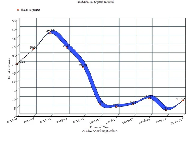 India’s Maize Exports At Six-Year High: Here’s What Stakeholders Say Whether The Trend Can Be Sustained