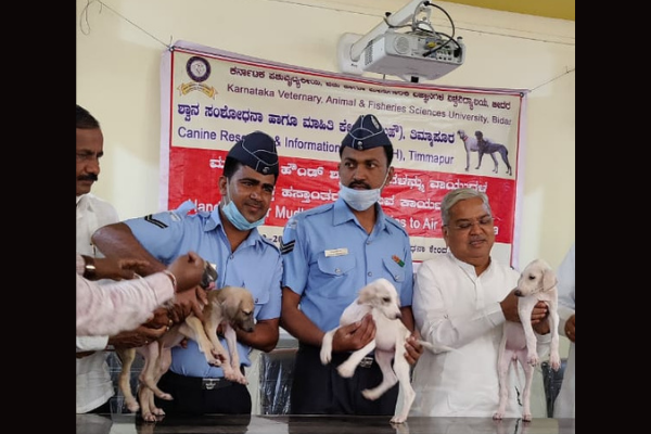 Karjol handing over the Mudhol pups to the IAF.