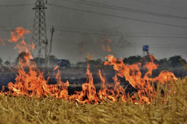 IIM Students Tackle Stubble Burning Menace: Devise Way To Reduce Pollution And Increase Farm Income