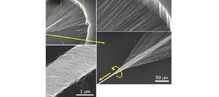 Tiny artificial muscles flex like elephant's trunk