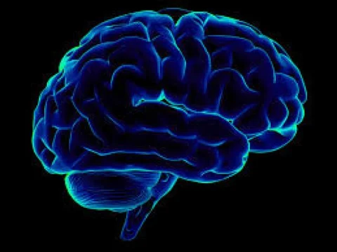 People are Choosing to Get Killed to be Able to Digitally Upload their Brain