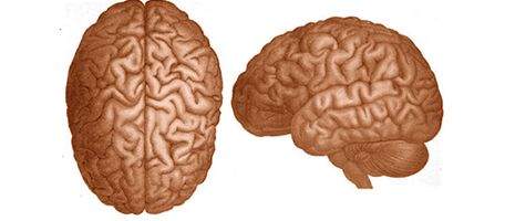 Scientists give computer schizophrenia