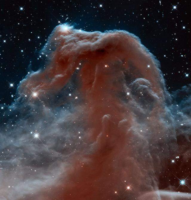 NASA's Hubble space telescope snaps a horsehead of a different color