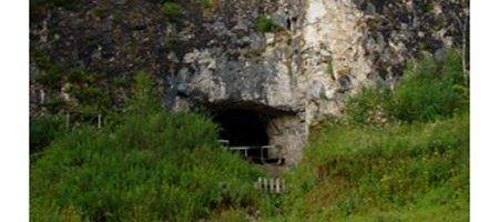 New hominin identified from DNA in pinky bone