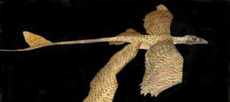 Four-winged bird sheds light on origins of flight