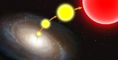 Rogue stars found in intergalactic space