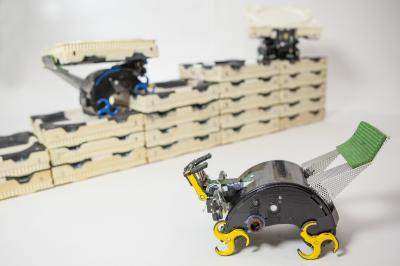 These self-organizing robots are inspired by termite colonies