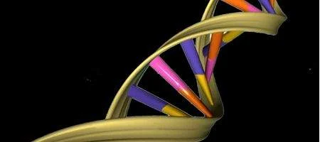 Artificial DNA alternative evolves on its own