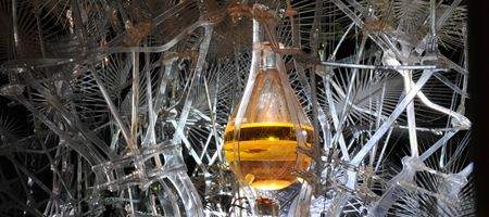Project aims to create living buildings