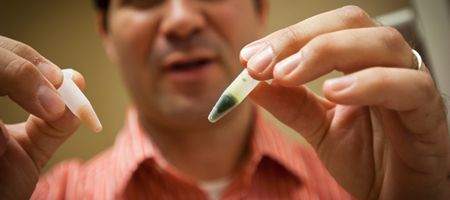 MIT persuades algae to make hydrogen fuel