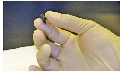 Scientists develop flexible paper batteries