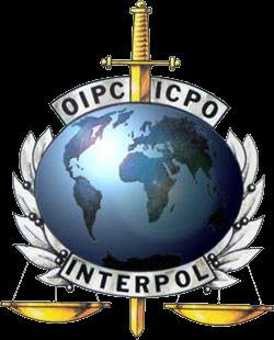 INTERPOL eyes biometric IDs for international workers and travelers