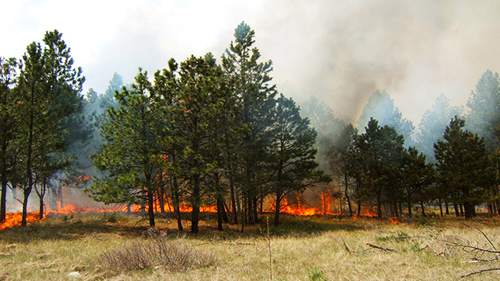 Wildfires projected to worsen with climate change